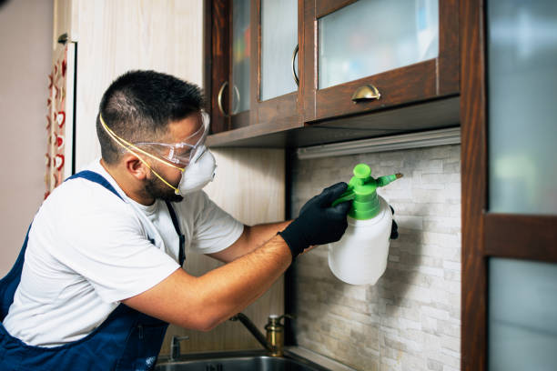 Best Exterminator Services  in Sundance, WY
