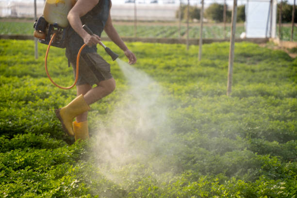 Best Mosquito Control Services  in Sundance, WY