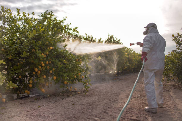 Sundance, WY Pest Control Company