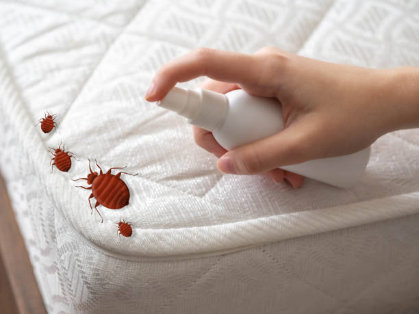 Best Best Pest Control Companies  in Sundance, WY