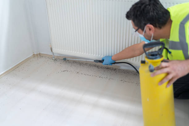 Best Affordable Exterminators  in Sundance, WY